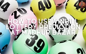 vinhill lottery prediction