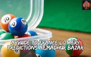 france lottery predictions