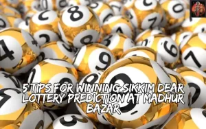 sikkim dear lottery prediction